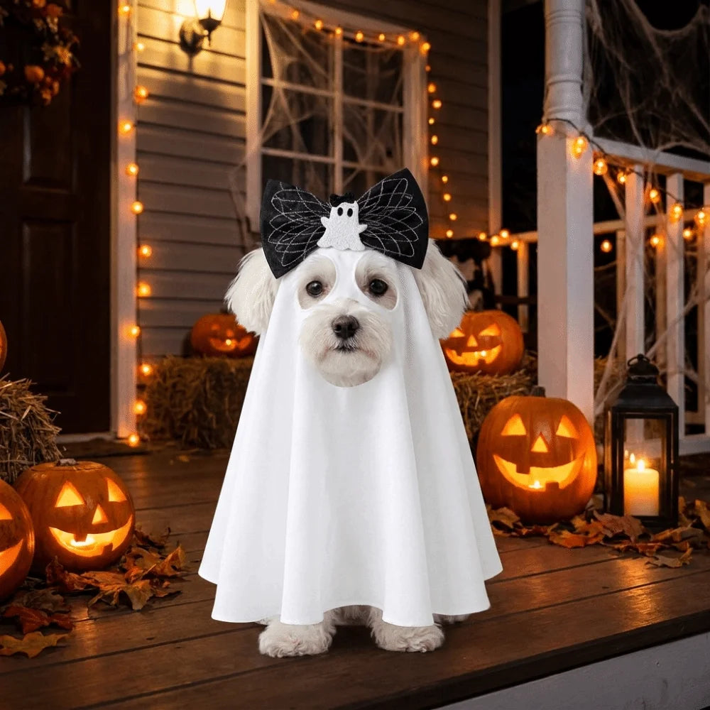 Small dog ghost costume for trick-or-treat